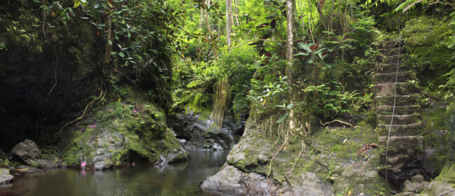 Fautaua-paysage1-1