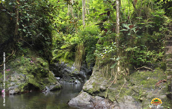 Fautaua-paysage-recadre-copyright-web61
