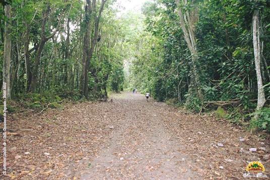 SENTIER-FAUTAUA