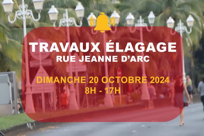 elagage-20-octobre