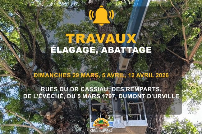 Elagage-abattages-dimanches-29-mars-5-avril-12-avril-